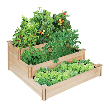 Home & Garden