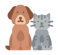 Pets