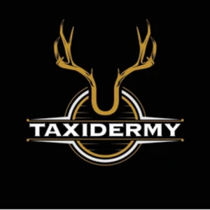 Taxidermy s