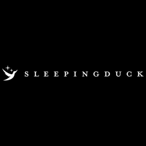 Sleeping Duck  