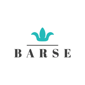 Barse Jewelry s