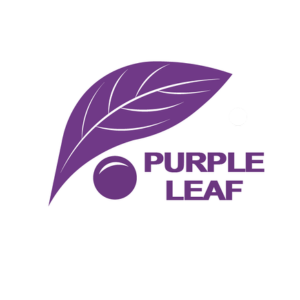 Purple Leaf 