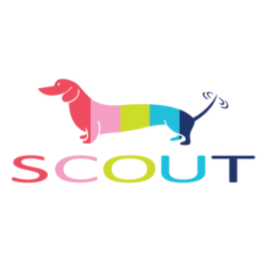 Scout Bags 