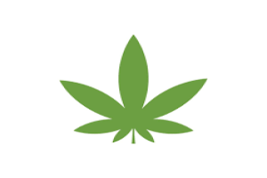 Easy Weed Discount Code and Deals 2025 Image